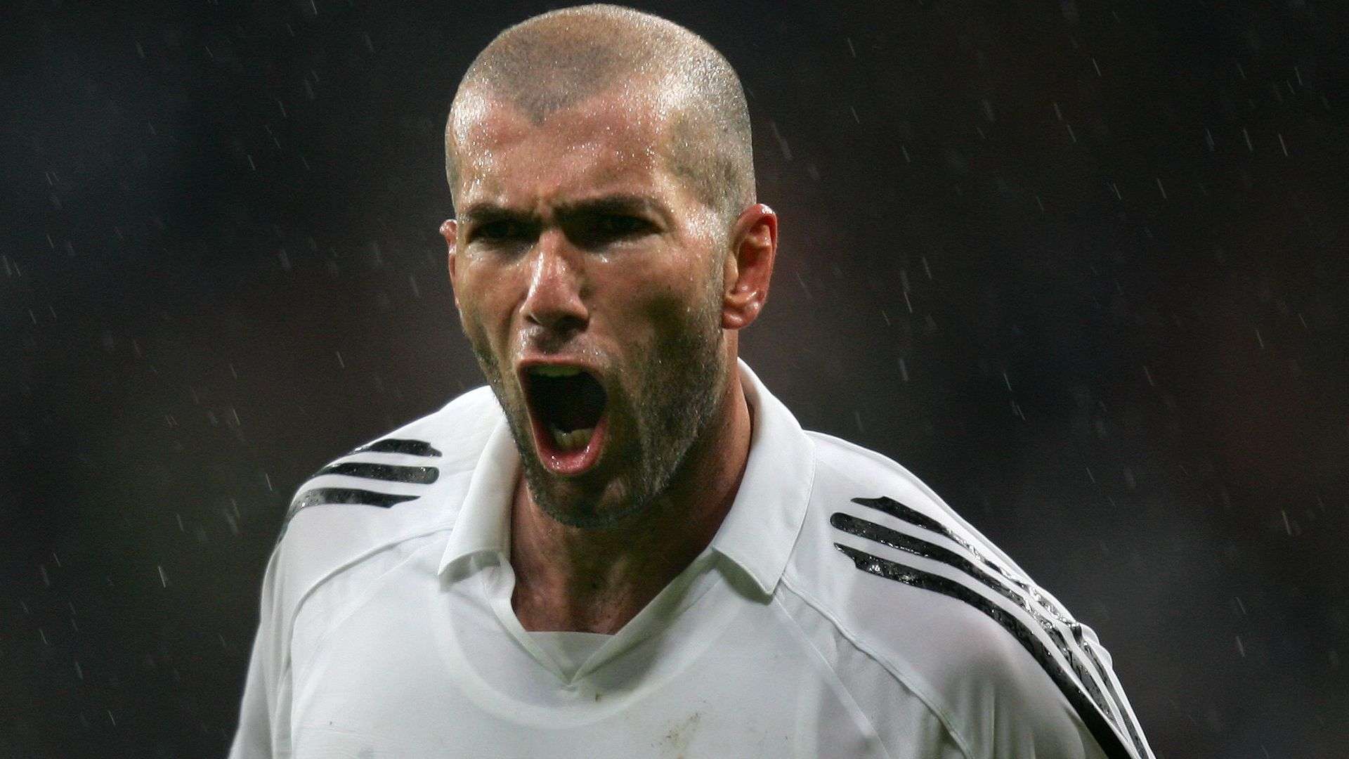 展现出不屈 展现出不屈